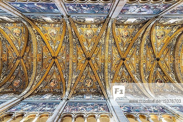 Kunstvolles Deckengewölbe  Kirchenschiff  Kathedrale Santa Maria Assunta  Parma  Emilia-Romagna  Italien  Europa