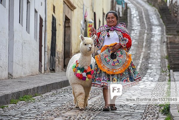 Local woman in traditional costume with a decorated Alpaca (Vicugna pacos) Old Town Cusco Peru South America