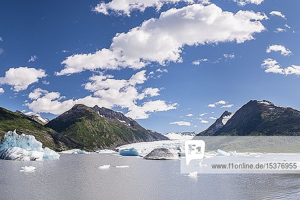 Spencer Glacier  Gletschersee mit Eisbergen  Chugach National Forest  Kenai Peninsula  Alaska  USA  Nordamerika
