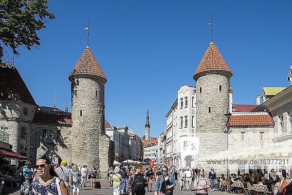 Mittelalterliches Stadttor zur Altstadt  Vanalinn  Tallinn  Estland  Europa