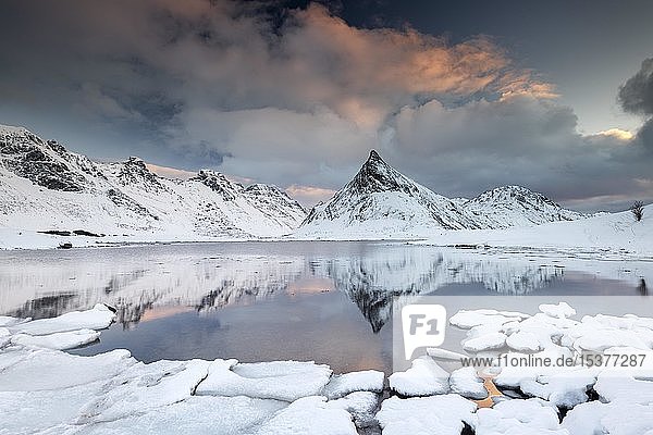 Lagoon with ice floes  behind them snow-covered mountains  Fredvang  Lofoten Norway