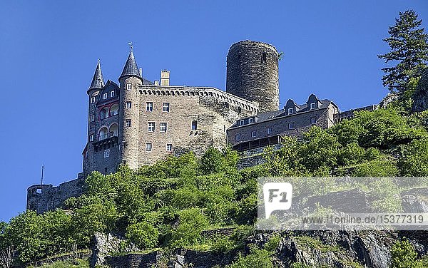 Burg Katz in St. Goarshausen Rhein-Lahn-Kreis Oberes Mittelrheintal Rheinland-Pfalz Deutschland Europa