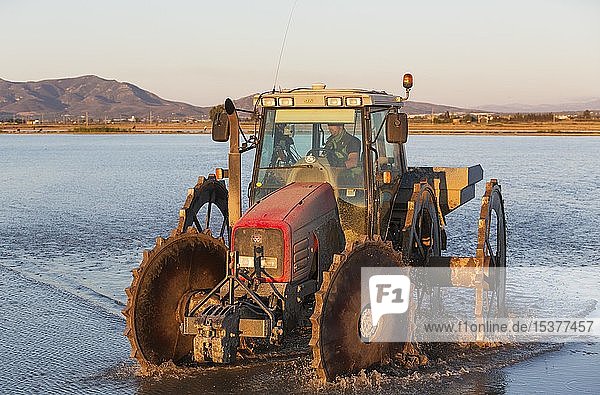 Traktor bei der Aussaat von Reis in einem überfluteten Reisfeld Naturschutzgebiet Ebro-Delta Provinz Tarragona Katalonien Spanien Europa