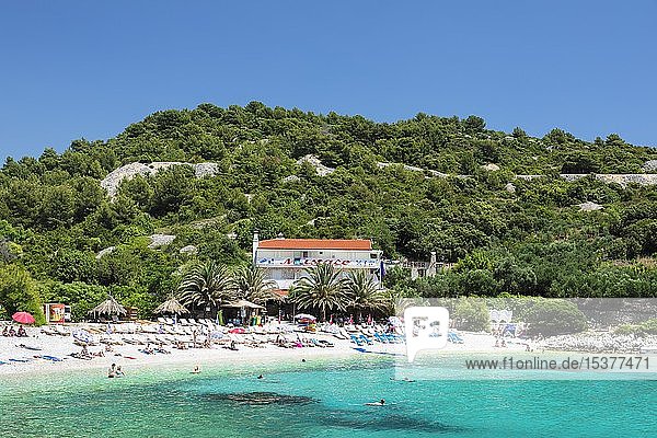 Idyllischer Strand mit türkisfarbenem Wasser  Hvar  Insel Hvar  Adriatisches Meer  Dalmatien  Kroatien  Europa