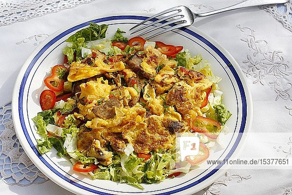 Schwäbische Küche  Teller mit Katzengschroi und Salat  Rührei mit gekochtem Fleisch  Deutschland  Europa