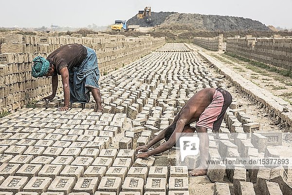 Arbeiter einer Ziegelei  der die Ziegel zum Trocknen legt  Dhaka  Bangladesch  Dhaka  Bangladesch  Asien