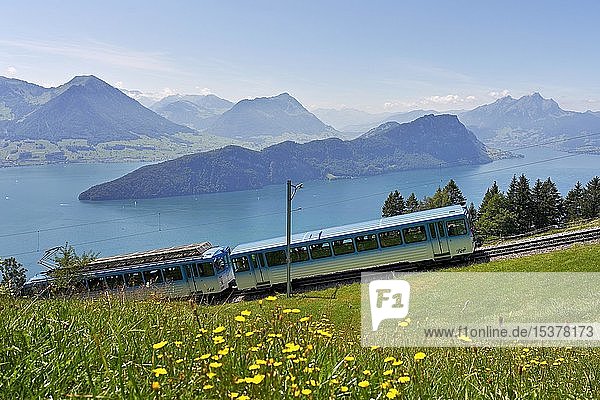 Zahnradbahn zur Rigi  hinter dem Vierwaldstättersee mit Bürgenstock  Stanserhorn und Pilatus  Vitznau  Kanton Luzern  Schweiz  Europa