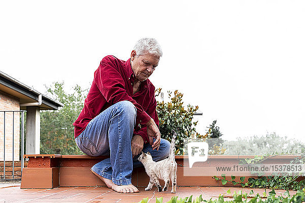 Älterer Mann mit Kätzchen auf der Dachterrasse sitzend