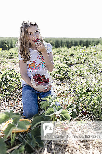 Portrait of girl eating picked strawberries on a field