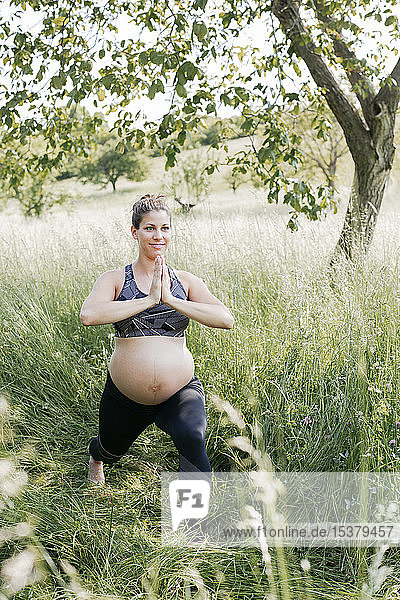 Young pregnant woman doing yoga exercises in nature on a green meadow