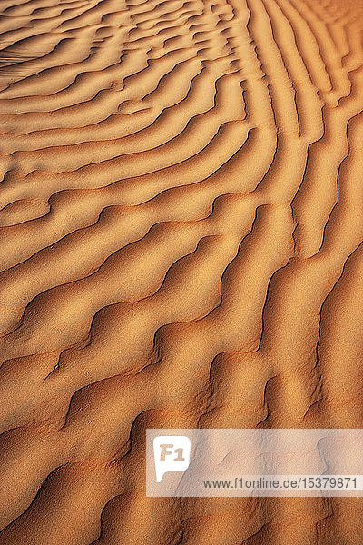 Oman Geriffelter Sand auf einer Düne Vollbild