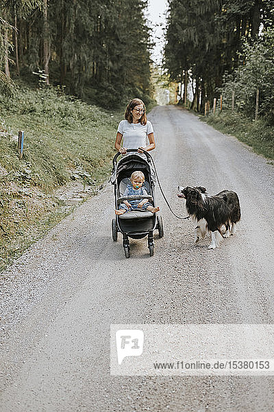 Mutter mit Baby im Kinderwagen und Hund beim Spaziergang auf einem Waldweg
