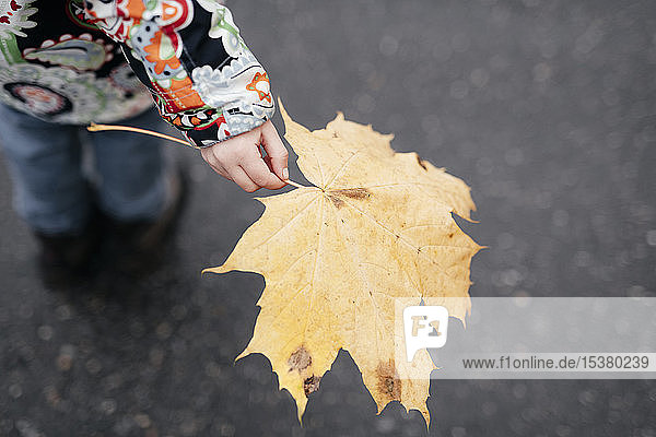 Die Hand eines kleinen Mädchens hält ein Herbstblatt