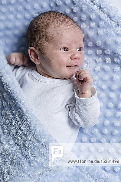 Porträt eines neugeborenen Jungen auf einer Decke liegend
