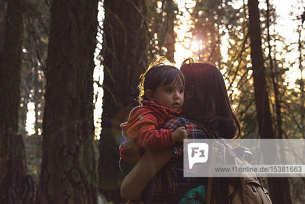 Mother holding a little girl in the forest at sunset in Sequoia National Park  California  USA