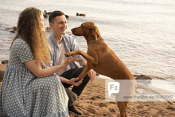 Paar mit Hund am Strand  Hund gibt Pfötchen