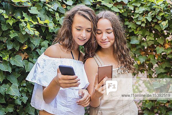Junge Mädchen mit Smartphone auf Efeu-Hintergrund
