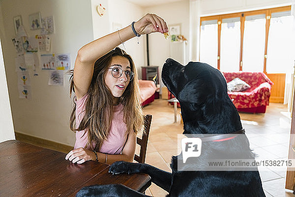 Girl playing with dog at table at home