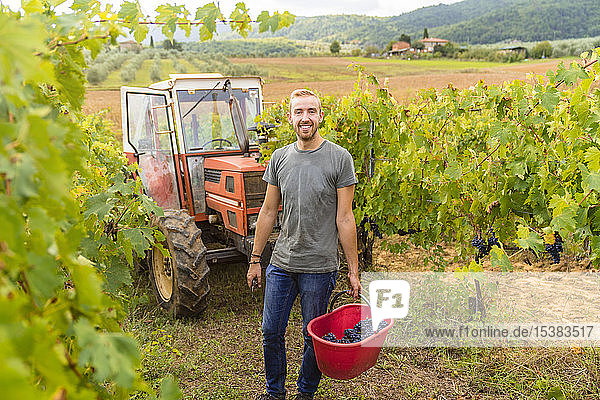 Portrait of smiling young man harvesting grapes in vineyard