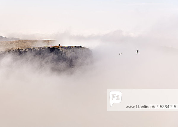 UK Wales Brecon Beacons Junge Frau beim Wandern in Bannau Sir Gaer Ridge
