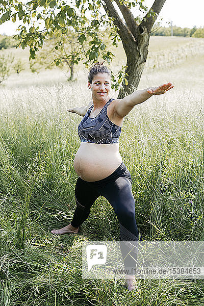 Junge schwangere Frau macht Yoga-Übungen in der Natur auf einer grünen Wiese