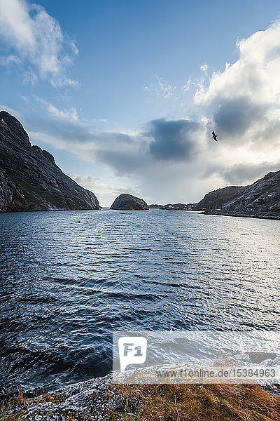 Norwegen  Lofoten  Nusfjord  Küste und Meer