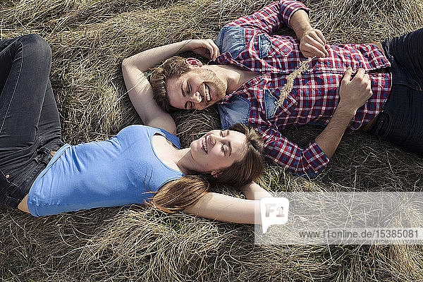 Glückliches junges Paar auf der Wiese liegend
