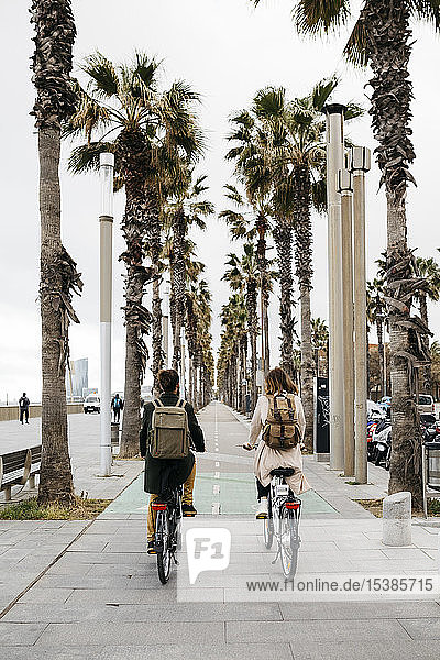Rückansicht eines Paares  das auf einer Promenade E-Bikes fährt