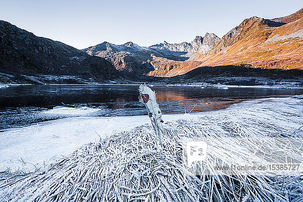 Norwegen Lofoten gefrorene Federn am Wasser