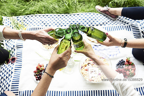 Top view of women clinking beer bottles at a picnic in park
