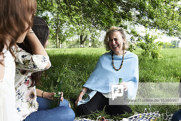 Frauen haben Spaß bei einem Picknick im Park