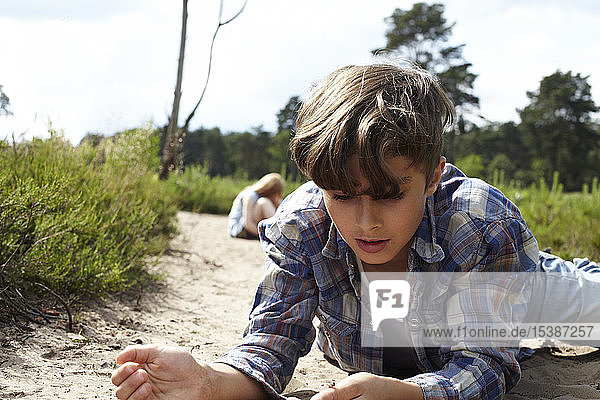 Junge liegt auf sandigem Pfad und beobachtet Käfer