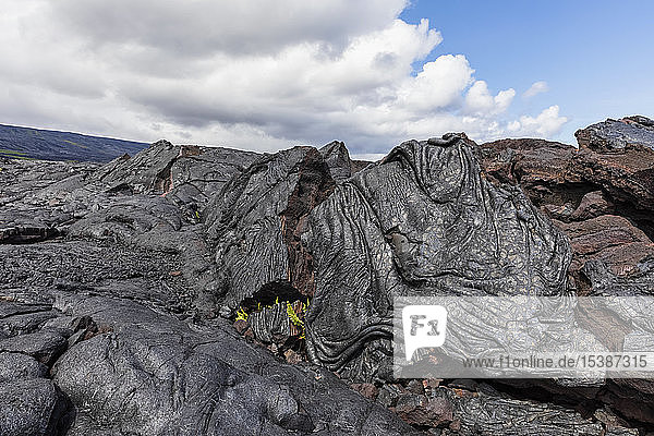 USA  Hawaii  Big Island  Volcanoes National Park  Ka Lae Apuki  lava fields