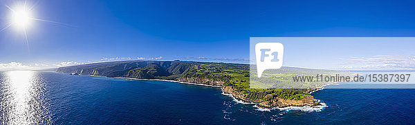 USA  Hawaii  Big Island  Pacific Ocean  Pololu Valley Lookout  Kohala Forest Reserve  Akoakoa Point  Aerial View