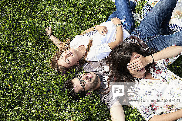 Top view of happy friends lying in a meadow in park