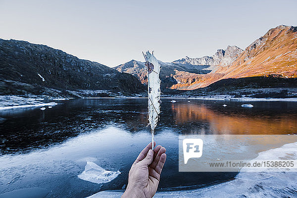 Norway  Lofoten Islands  man's hand holding frozen feather