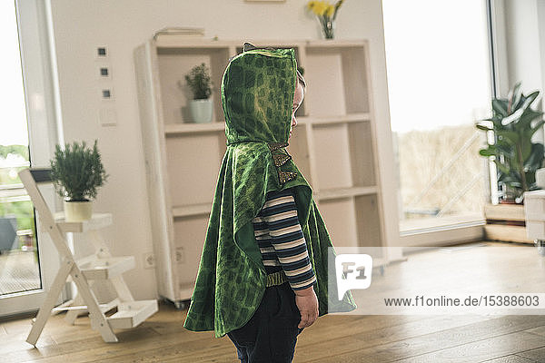 Boy in a crocodile costume at home