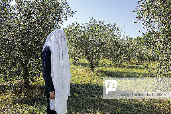 Italy  Tuscany  man standing in olive grove covered by a cloth