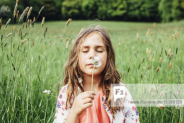 Porträt eines Mädchens mit Pusteblume auf einer Wiese