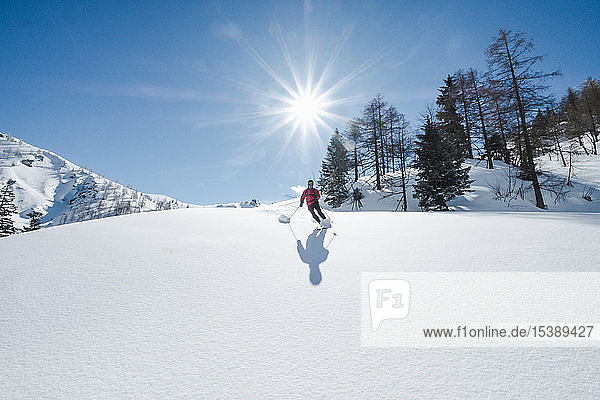 Deutschland  Bayern  Berchtesgaden  Jenner  Skilanglauf gegen die Sonne