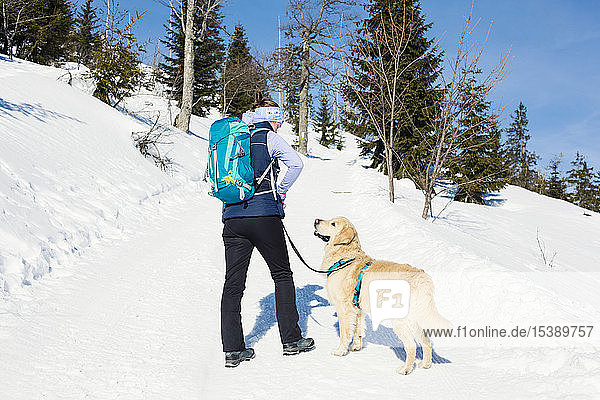 Deutschland  Bayerischer Wald  Lusen  Frau mit Hund beim Winterwandern