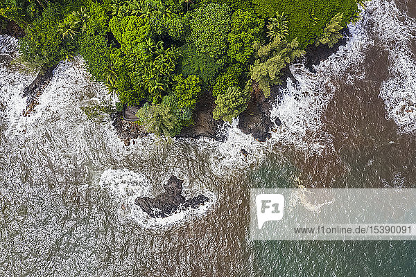 USA  Hawaii  Big Island  Onomea Bay  Aerial view