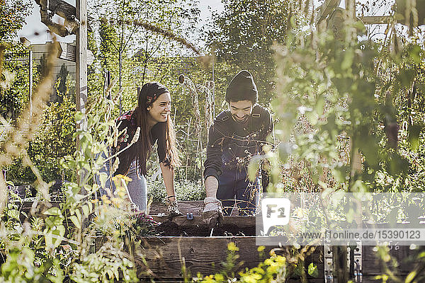Glückliches Paar gärtnert gemeinsam im Stadtgarten