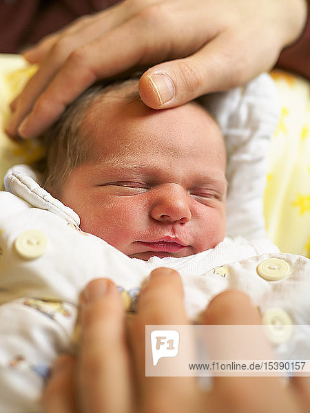 Porträt eines neugeborenen Mädchens  Hände des Vaters