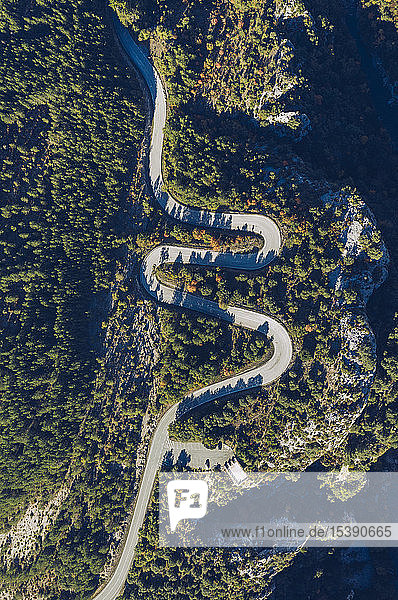 Spain  Navarra  Irati Forest  aerial view of winding road