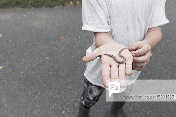 Junge mit Regenwurm auf der Handfläche  Nahaufnahme