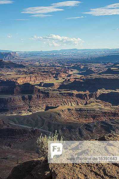 USA  Dead Horse Point State Park  Blick über die Canyonlands und den Colorado-Fluss