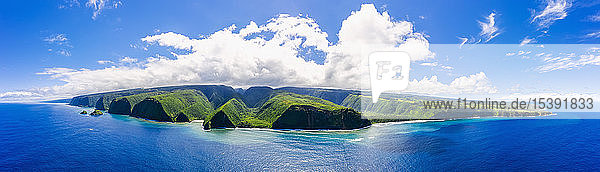 USA  Hawaii  Big Island  Pacific Ocean  Pololu Valley Lookout  Kohala Forest Reserve  Akoakoa Point  Aerial View