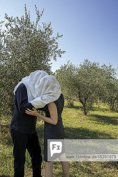 Italy  Tuscany  couple in olive grove kissing under a cloth