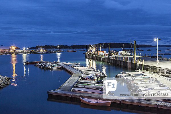 USA Maine Stonington Stonington Harbor dusk.
